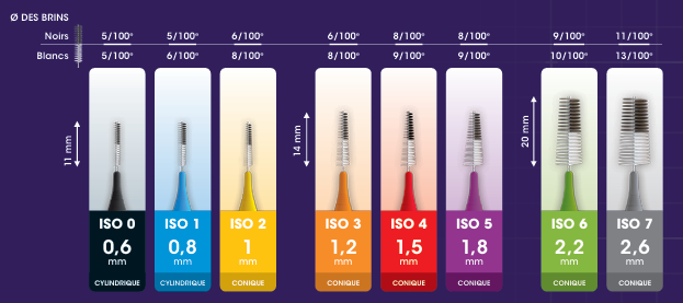 Inava brossettes interdentaires